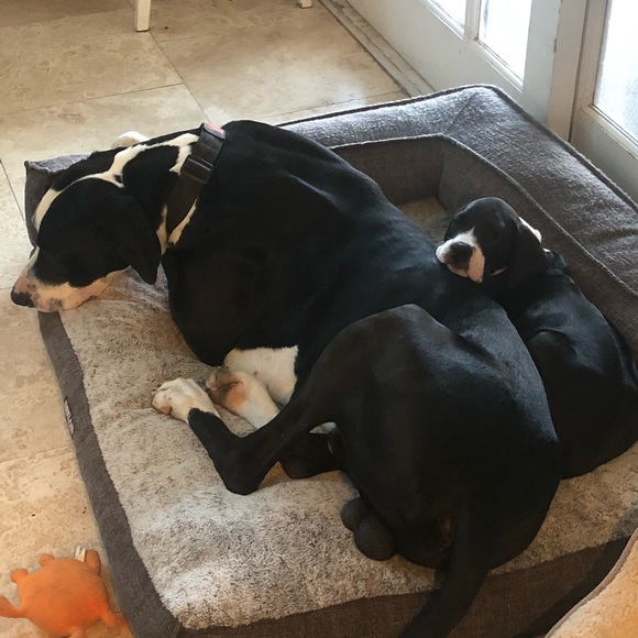 Meet your Posher, AC - Picture 4 of 7